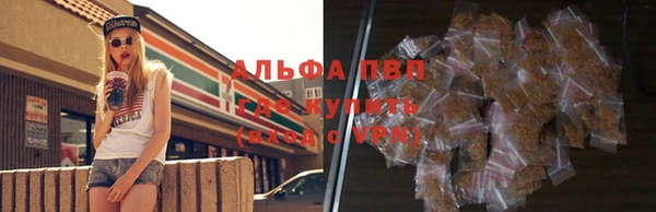 индика Бугульма