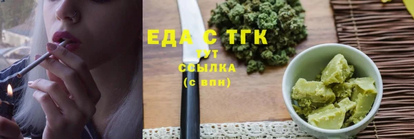 индика Бугульма