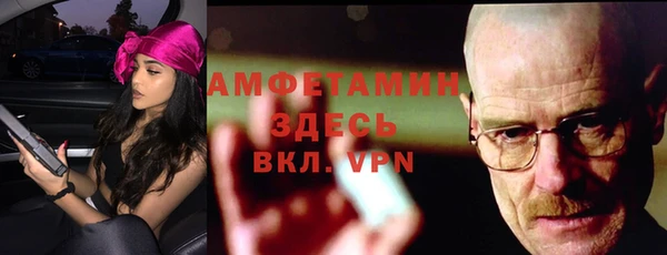 индика Бугульма