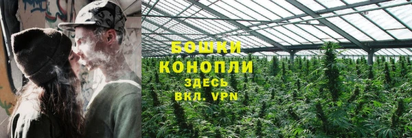 индика Бугульма