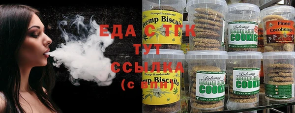 индика Бугульма
