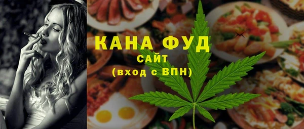 индика Бугульма